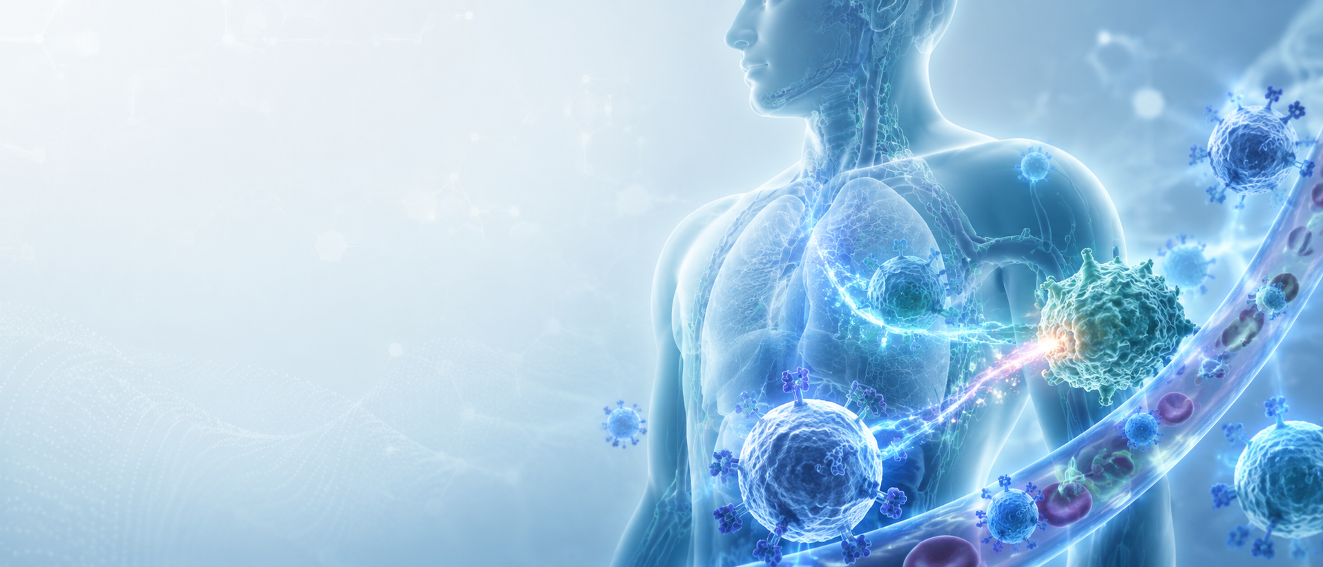 Anatomical illustration showing CAR T-cell activity within the body during cellular immunotherapy