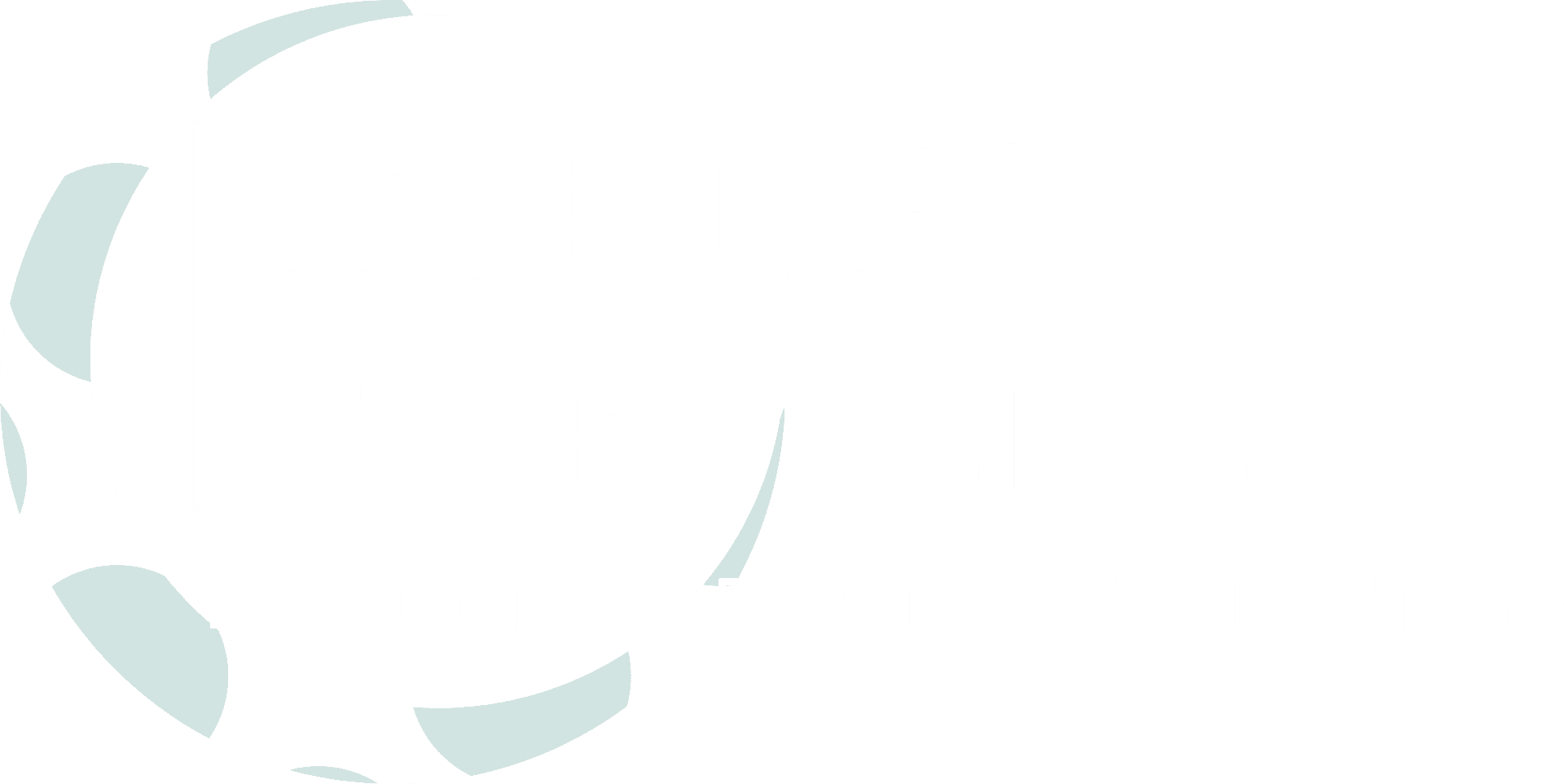 TurkeyStemcell clinic logo