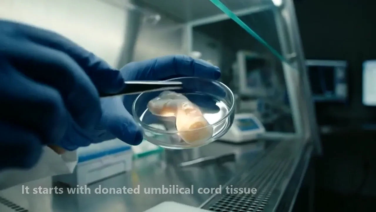 Illustrative film of how a cell preparation is made, checked and released.